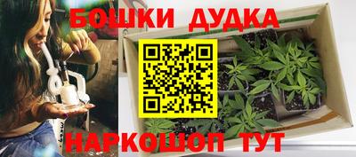 шишки Севастополь