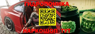 шишки Севастополь
