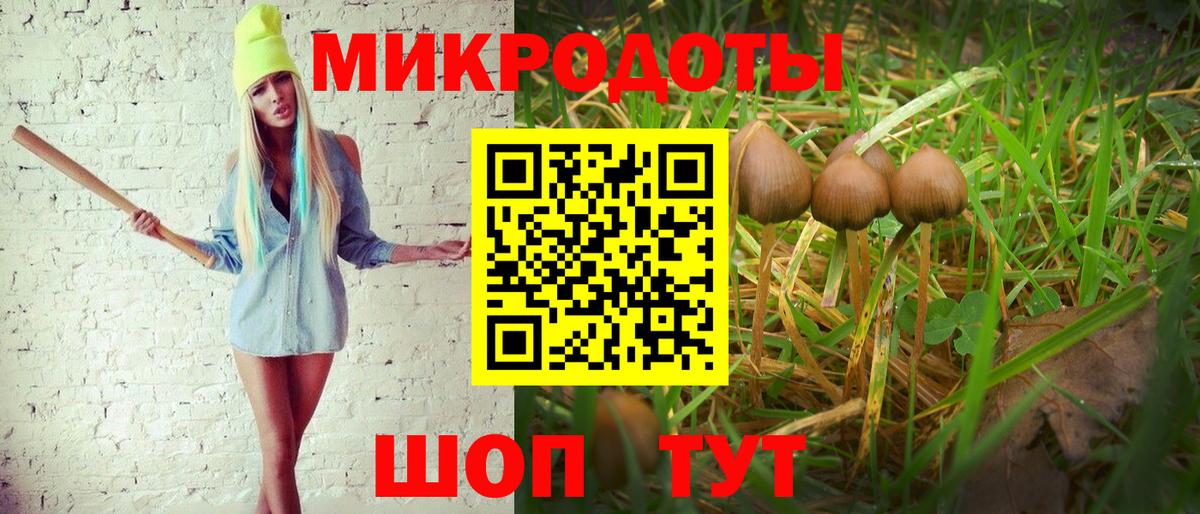 Солнечногорск  Галлюциногенные грибы мухоморы  наркошоп  Псилоцибиновые грибы ЛСД  Вход с VPN 